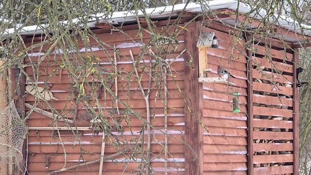 Дела семейные/ЛИПОВЫЙ ХУТОР И ВОССТАНОВЛЕНИЕ КУХНИ. РАЗРОДИЛАСЬ НА ГЛАЗАХ. ДЕТИ И РЫБНЫЙ ПИРОГ. смотреть онлайн