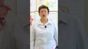 Здоровье нашего второго мозга, понимание связи между кишечником и мозгом