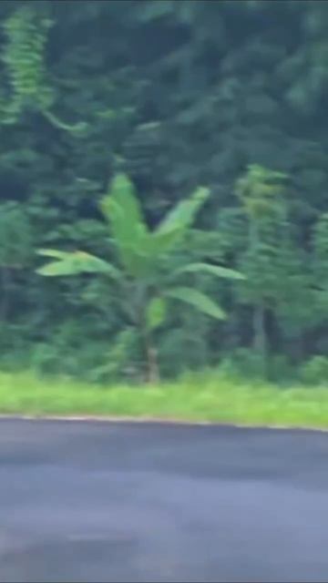 Нет денег на мотоцикл? Не беда! Можно и на скутере