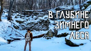 В глубине зимнего леса / Ветер гнёт и ломит деревья / Звериные тропы