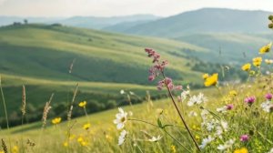 Так хочется...