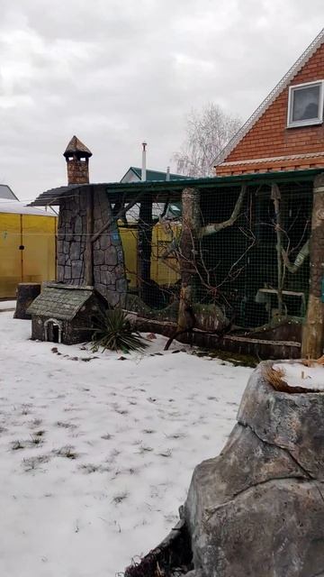 🏡Эксклюзивный ДОМ на ЮГЕ ! Переезд на Юг📲 8 924 540 49 92 Виктор Саликов 🌴 смотреть онлайн