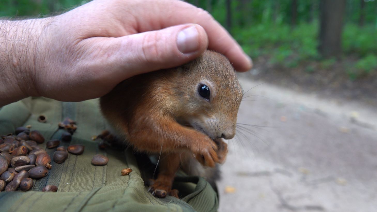 Две белки. Август 2023 смотреть онлайн