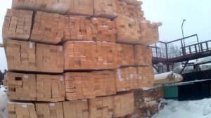 🎄"НАШ"ЛЕС...🎄