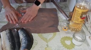 Повтор эксперимента. День № 5и 6