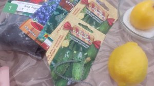 07.02.2026 Новые покупки для сада-огорода. Экспериментируем с посевом  огурца.