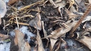 Что положишь, то и размножишь.