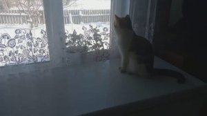 ГОТОВИМСЯ к ВЕСНЕ / Я на КУХНЕ /  НА ЛИНЕЙКЕ../ СНЕЖНЫЙ УРАЛ