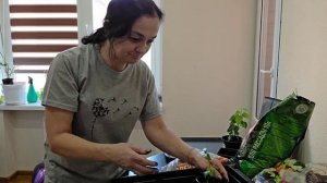 321 ЗАБОЛЕЛИ ВСЕ. ГДЕ МУХА ? ВАРЮ БОРЩ. ПОСЕЯЛА ПОМИДОРЫ И ПЕРЕЦ. Жизнь на юге