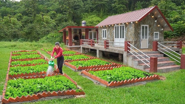Выкладываю из красных кирпичей грядки для овощей. Создаю огород перед домом. Серия 16. Ли Фук Ви смотреть онлайн