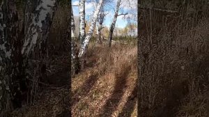 сентябрь 2025 года