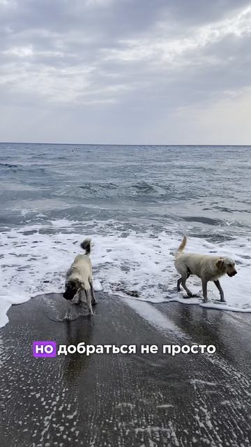 Лучшие пляжи Турции смотреть онлайн