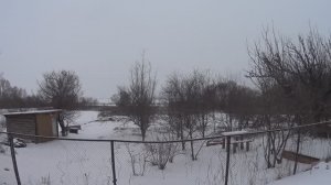 Пережил морозы, новые проблемы и планы.