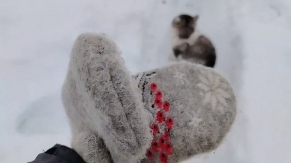 VLOG Сильный обстрел❗ Сколько весит Сёма?😮