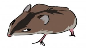 Terrible mouse. Новая запись от Gutian (Без звука)