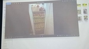 О яблоневом саде в окрестностях Иркутска