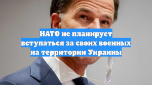 НАТО не планирует вступаться за своих военных на территории Украины