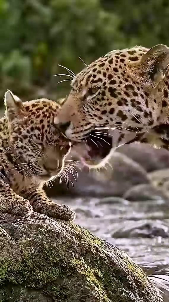 Мама смотреть онлайн