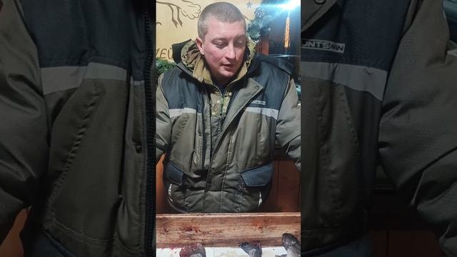 08-02-2026 смотреть онлайн