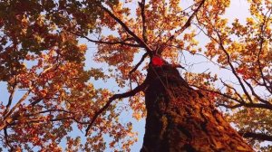 время пришло