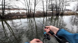 НЕ ЗНАЛ ЧТО ТАКАЯ РЫБА ЖИВЁТ В РУЧЬЕ! Микроджиг с берега. Рыбалка на спиннинг