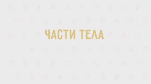 3.01 - Части тела