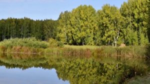 Иван Кучин. ИЗБА . видео клип