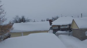 Ура, я опять не одна//Из города в деревню//