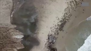 10 Невероятных находок в Африке которые потрясли Мир.