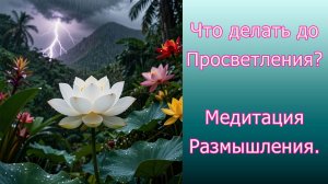 Что делать до Просветления? Медитация Размышления.