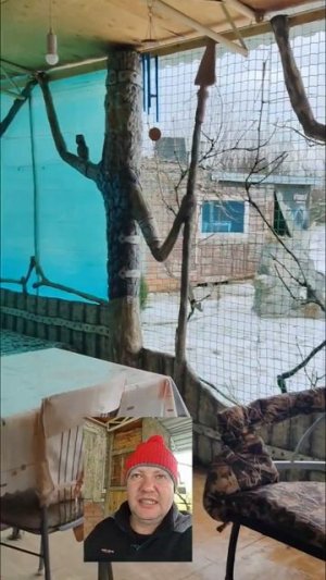 🏡Эксклюзивный ДОМ на ЮГЕ ! Переезд на Юг📲 8 924 540 49 92 Виктор Саликов 🌴