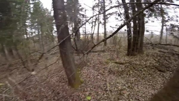 Можайский укрепрайон