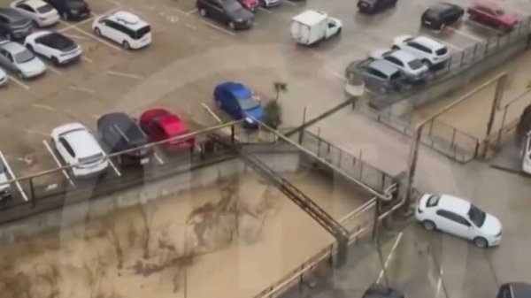 В Адлерском районе Сочи зазвучали сирены из-за повышения уровня воды в реке