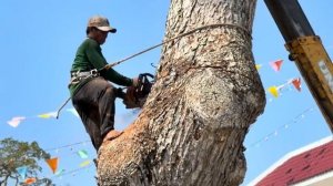 Строительные работы