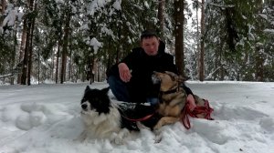 Гуляем по лесу