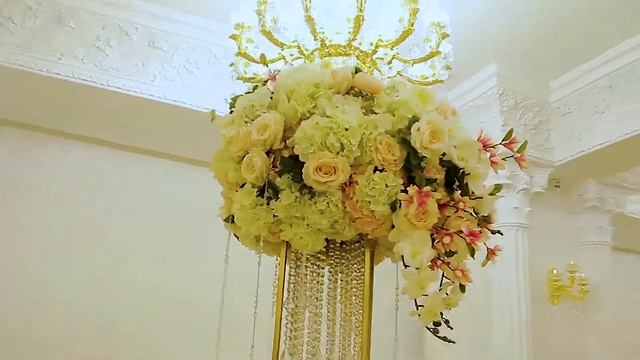 Аниллито Холл