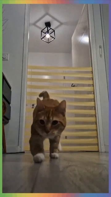 Бег с препятствиями смотреть онлайн