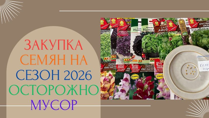 НОВЫЙ СТЕЛЛАЖ ДЛЯ РАССАДЫ / ЗАКУПКА СЕМЯН НА СЕЗОН 2026