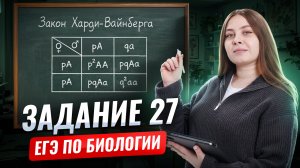 Все задания 27 на Харди-Вайнберга из сборника Рохлова | Биология ЕГЭ | Умскул