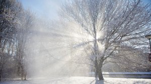 Светло и спокойно