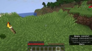 играю в майн с мелкой