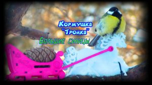 Большие синицы на кормушке тройке