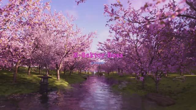 X-SektorBoss 226 - Выбери свой Путь.