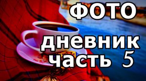 УТРО В ДЕНЬ РОЖДЕНИЯ СЕСТРЁНКИ! МОРЕ, МЕДУЗЫ, КРАСОТА! ФОТО СЛАЙД-ШОУ. АДЛЕР. 23 НОЯБРЯ 2025 ГОДА.