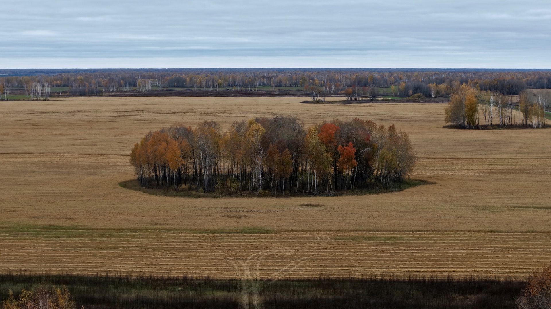 Сибирь с высоты. Там, где человек- гость