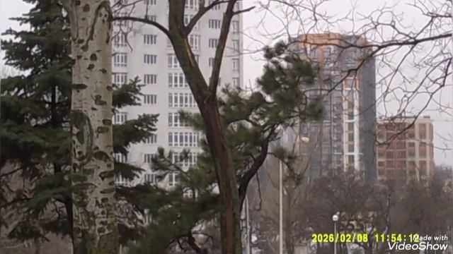 Мариуполь 🏙️ сейчас , почищенные от снега тротуары и дороги 👍,а вот внутри дворов не чистят. смотреть онлайн