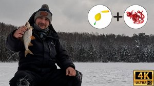 ПЛОТВА и ПОДЛЕЩИК на ПОПЛАВОК со ЛЬДА