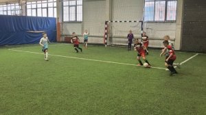 petal_20260208_013208.mp4