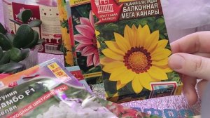 Какие цветы буду выращивать в сезоне 2026