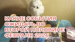 Какие события произойдут во второй половине февраля 2026 3 просмотра10 часов назад